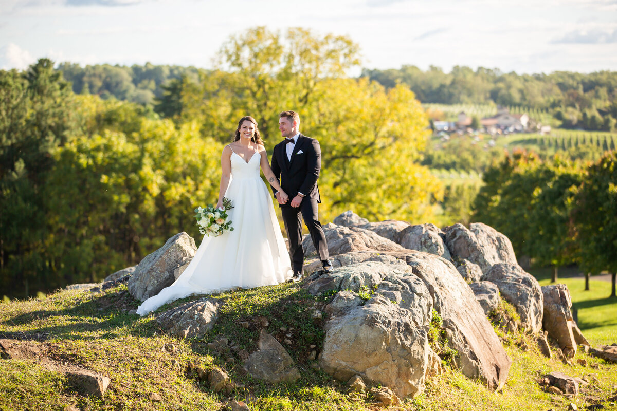 loudoun-studios-wedding-bluemont-blue-valley-vineyards-virginia00011