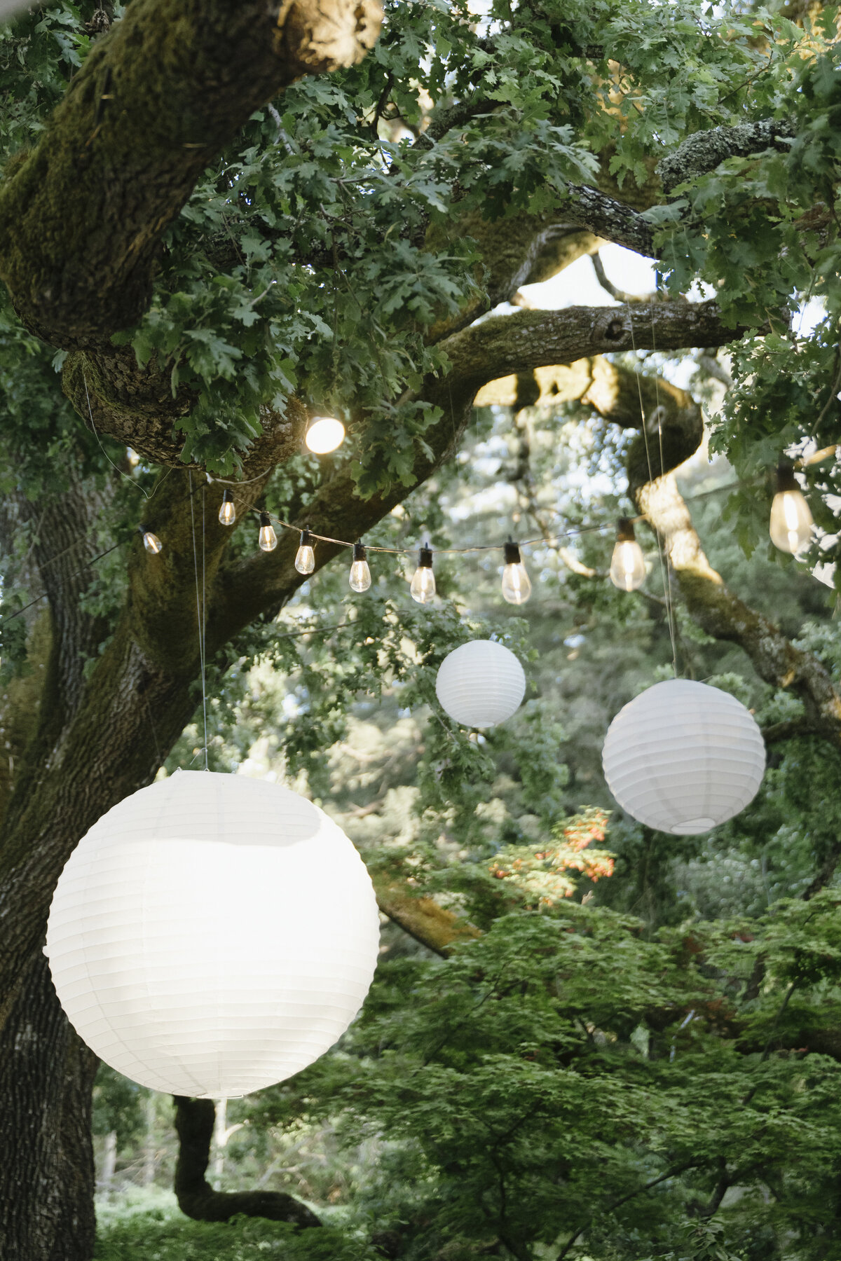 tea garden lanterns at wedding