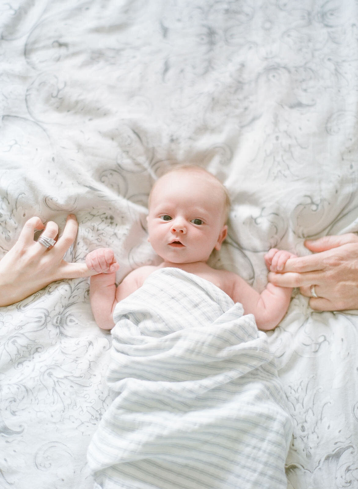 Top Charlotte Newborn Photographer - Kent Avenue Photography - 13
