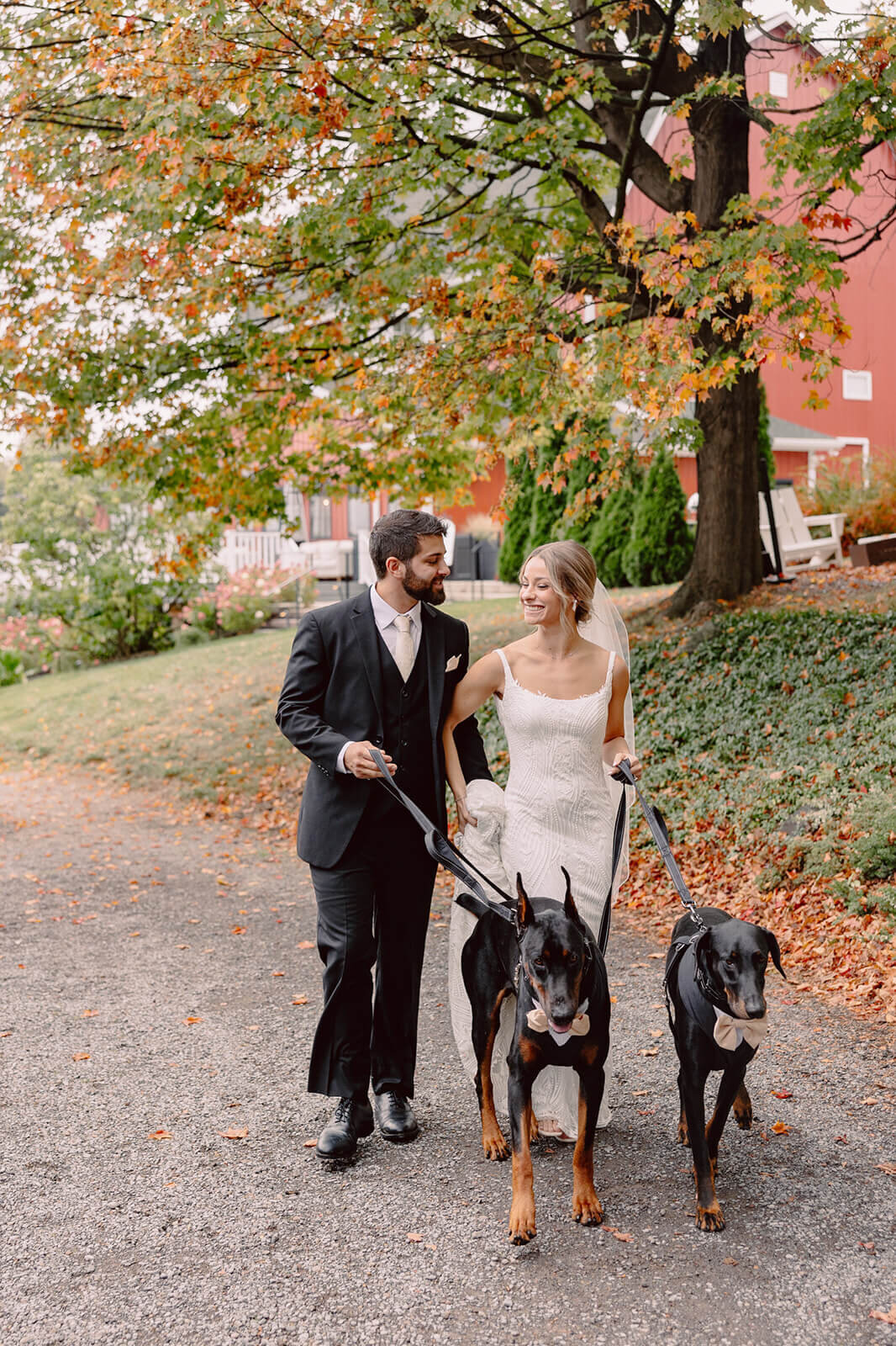 Bride and groom walking along with dogs