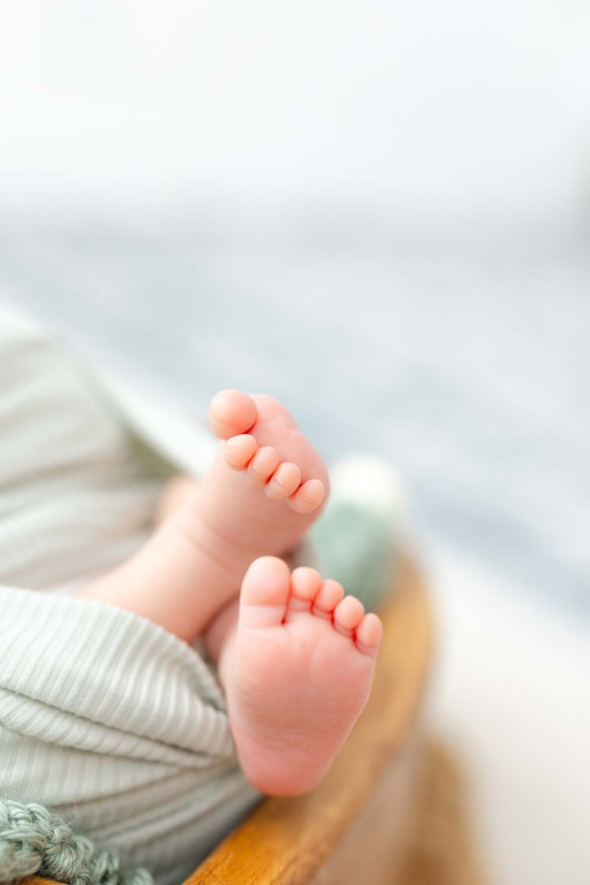 Newborn-photographer-in-savannah-16