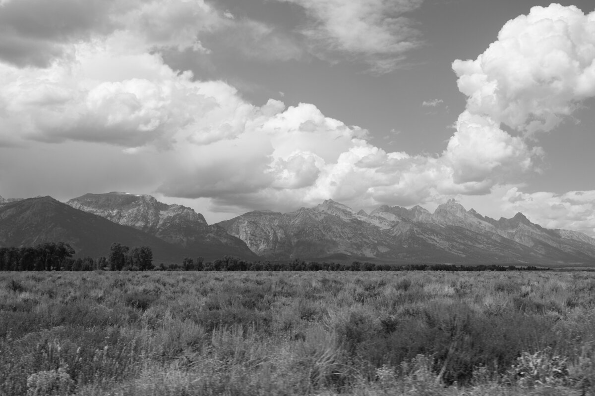 Jackson-Hole-Wedding-Previews-Mariah-Jones-Photography-11