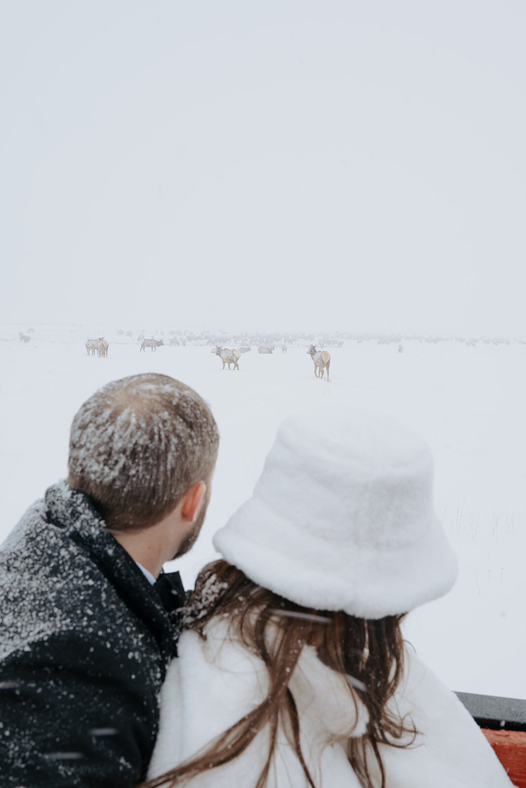 Winter-Elopement-B-T-236