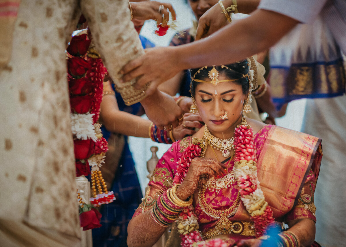 South Asian Wedding