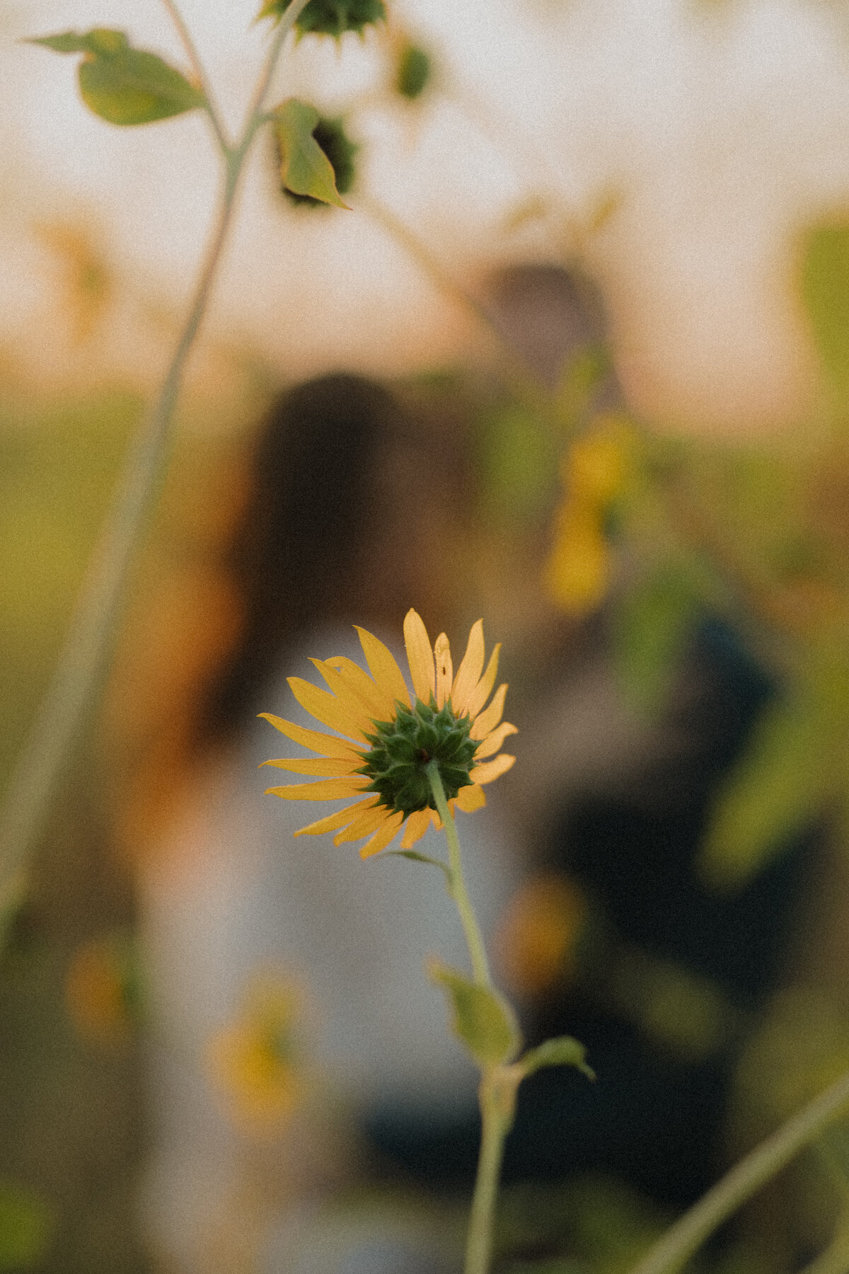 LWP_3318