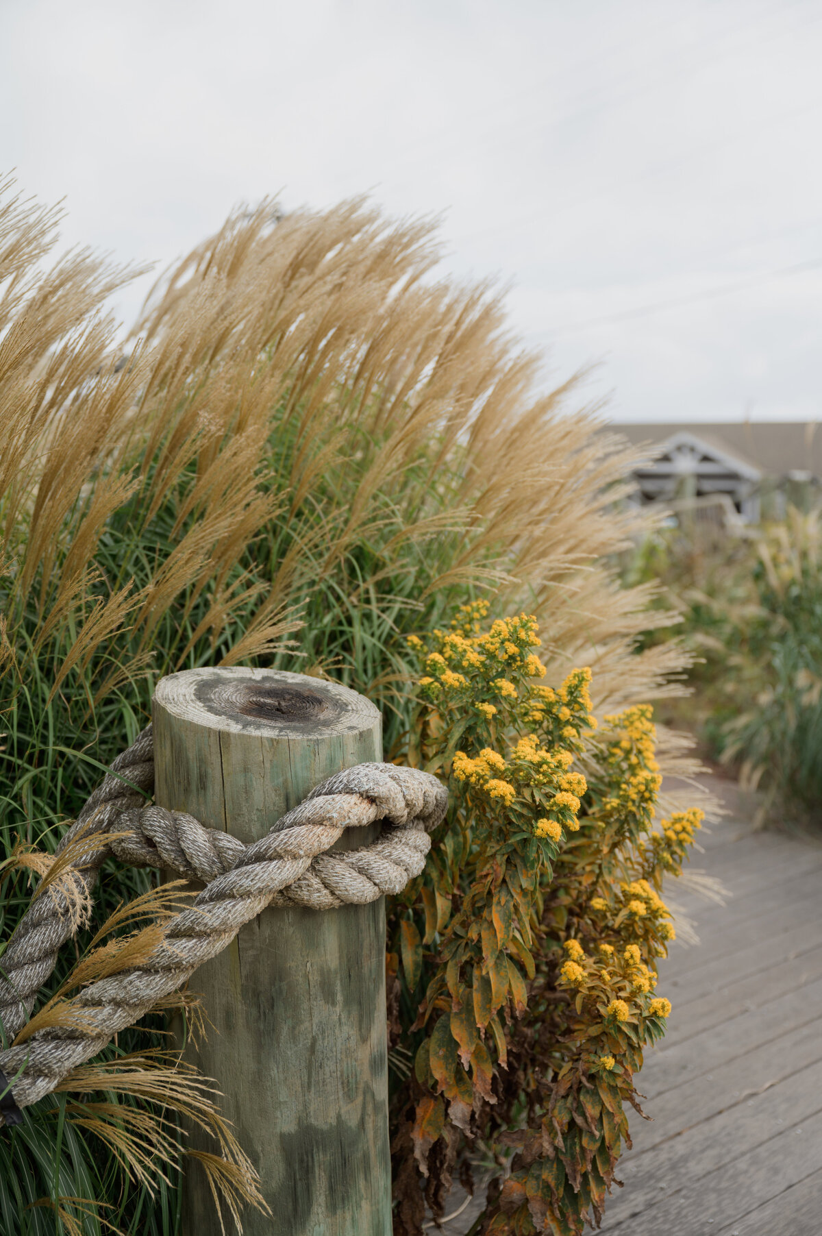 block-island-wedding-photography