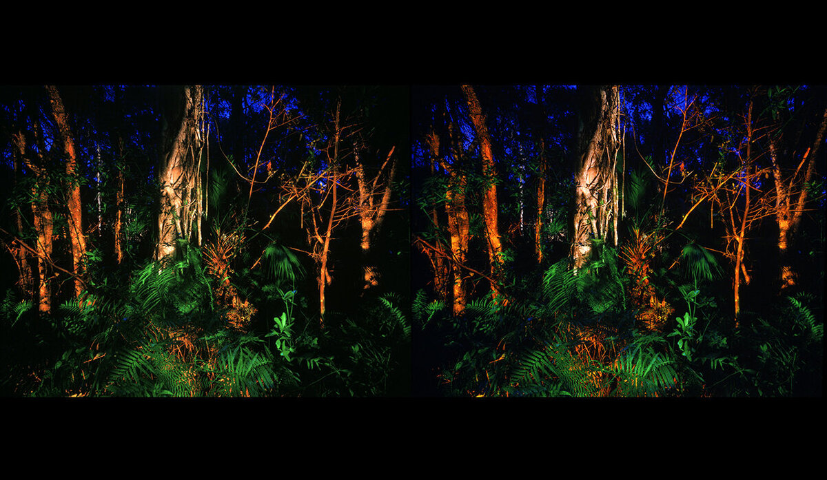 ST_Big Cypress_Fakahatchee Strand