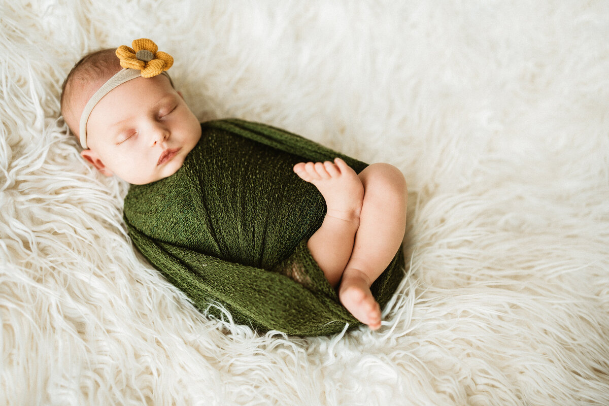 Pittsburhgh Newborn Photographer--15