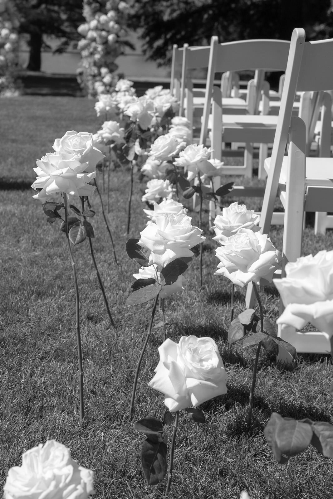 isabella-ben-ellul-wedding-292
