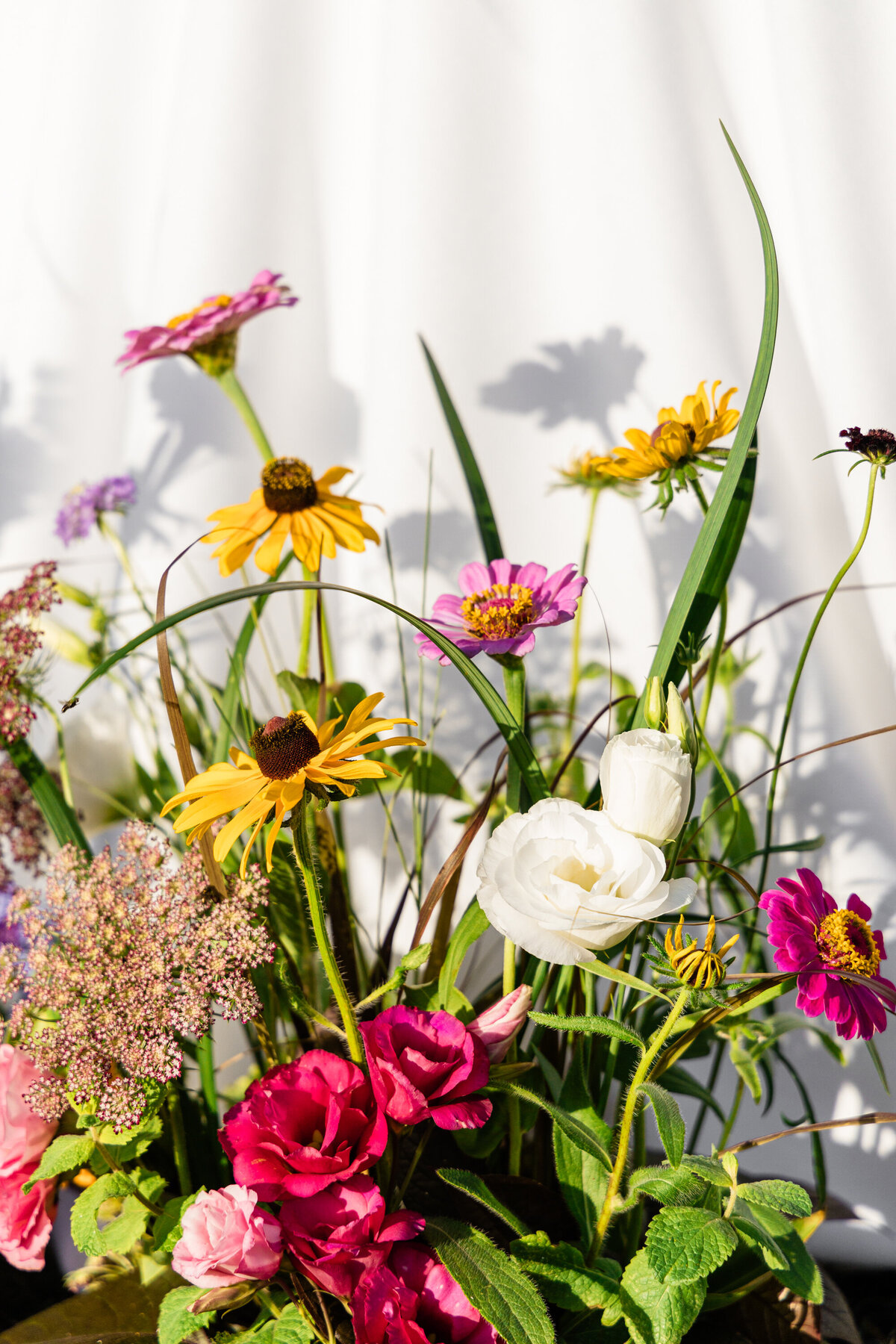 pink yellow and white wildflowers against white backdrop