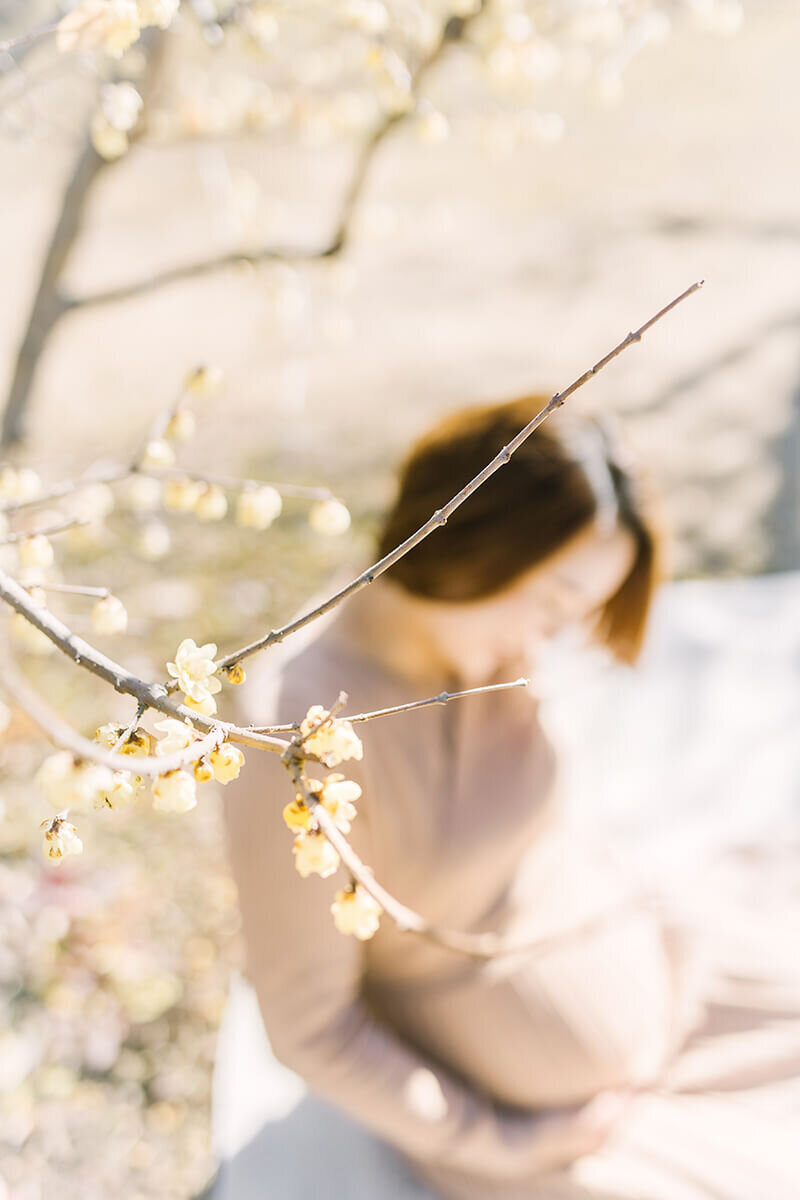 おなかに手を当てて座っている妊婦さんの前に咲いている蠟梅の写真。