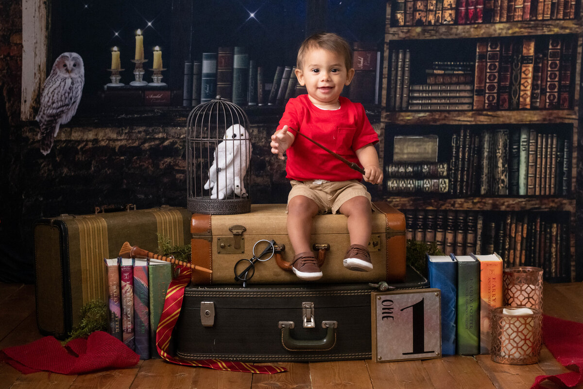 first-birthay-harry-potter-cuyahoga-falls-photographer