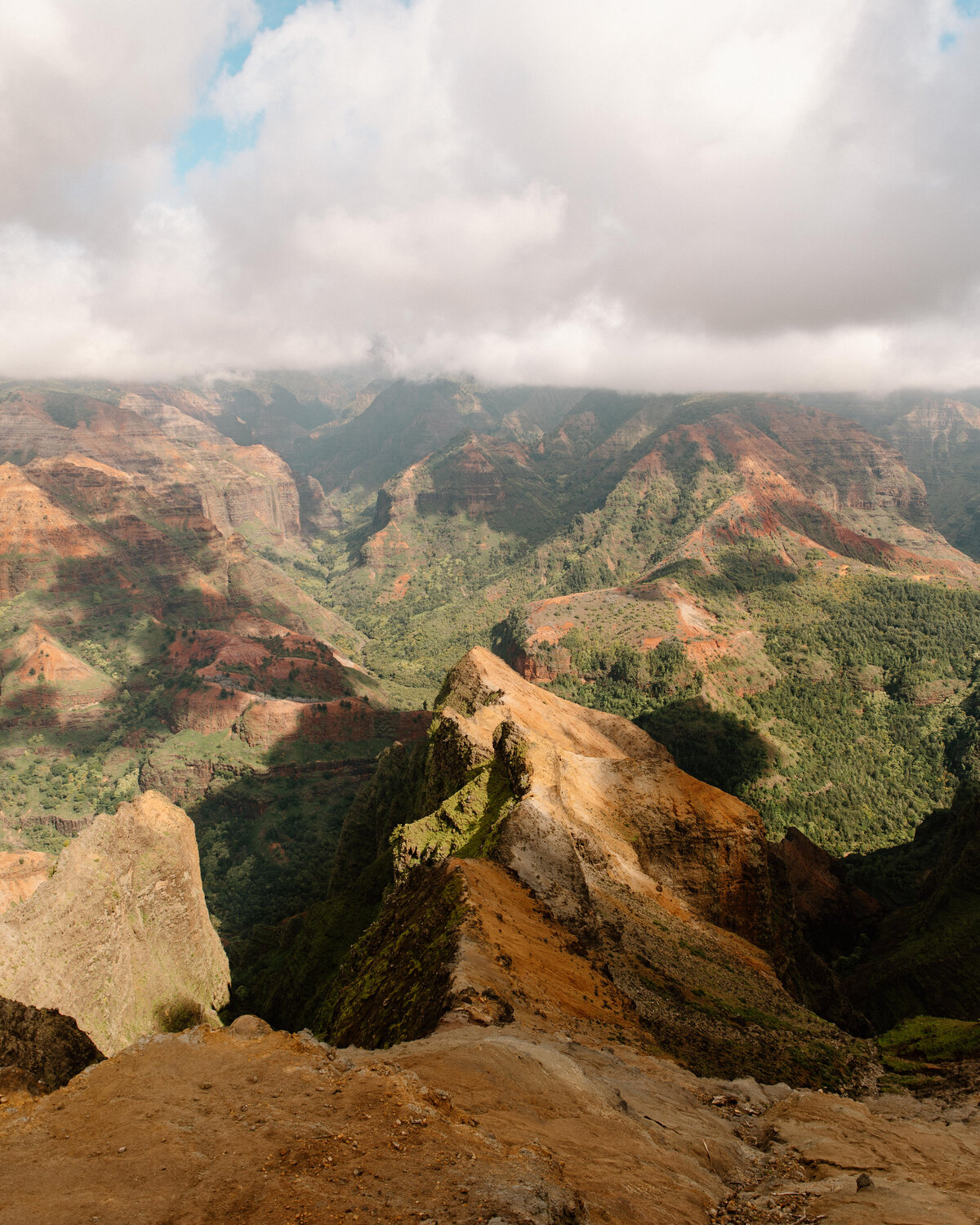 waimea_canyon_kauai_hawaii_01