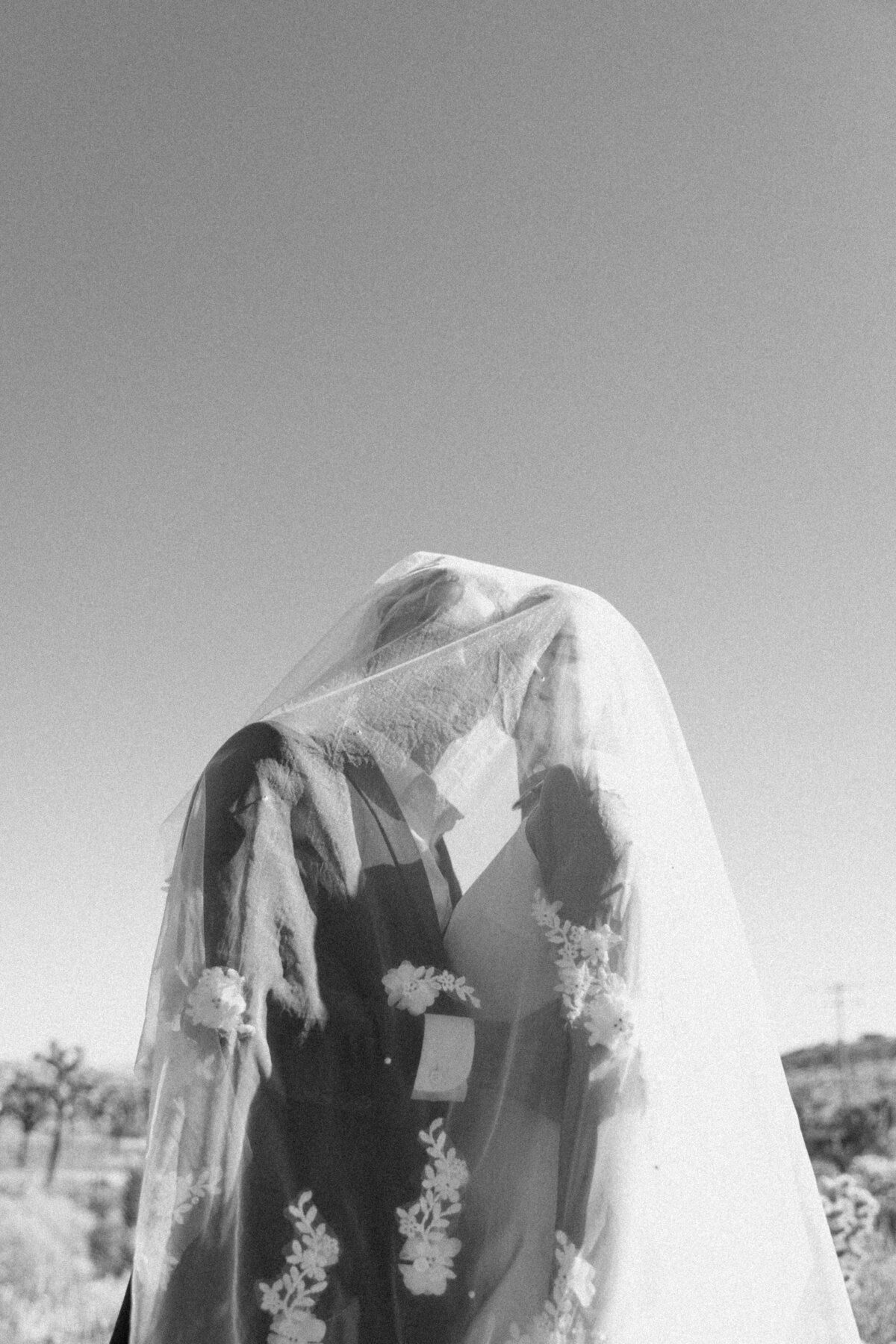 Elegant-Joshua-Tree-Elopement_1409