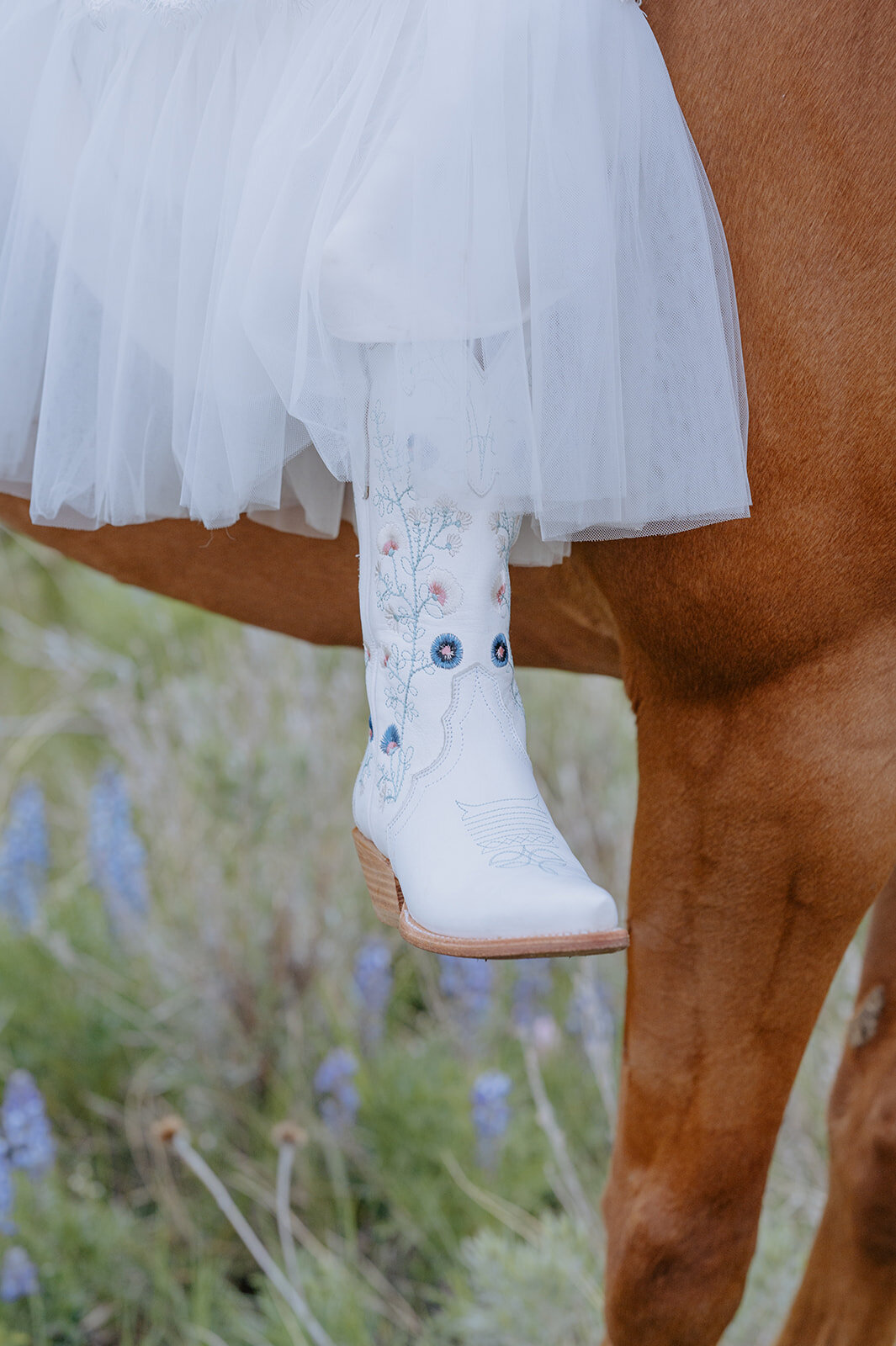 Carly-Patrick-Sheridan-Wyoming-Elopement-336