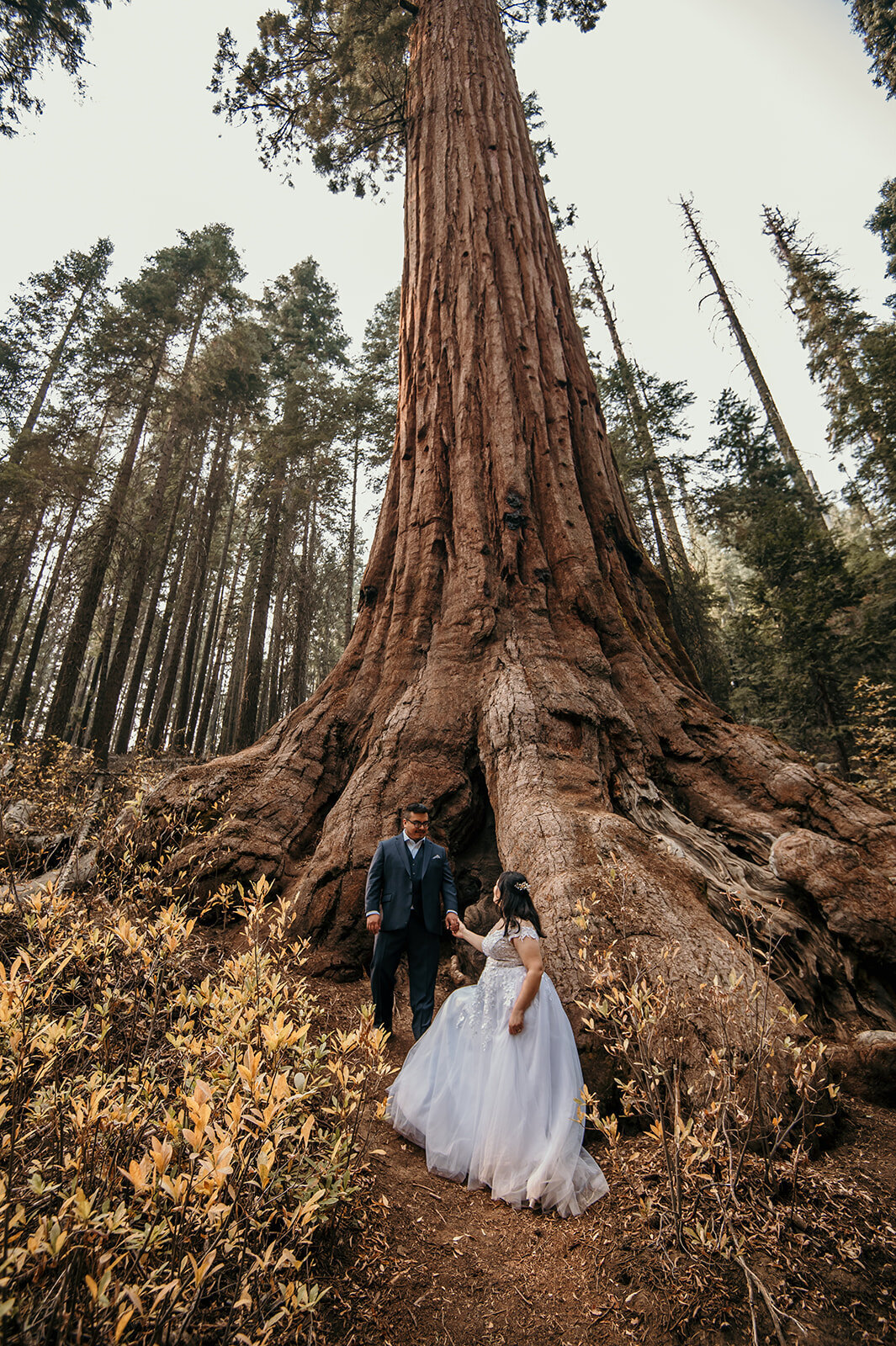 yosemite-elopement-photographer-163