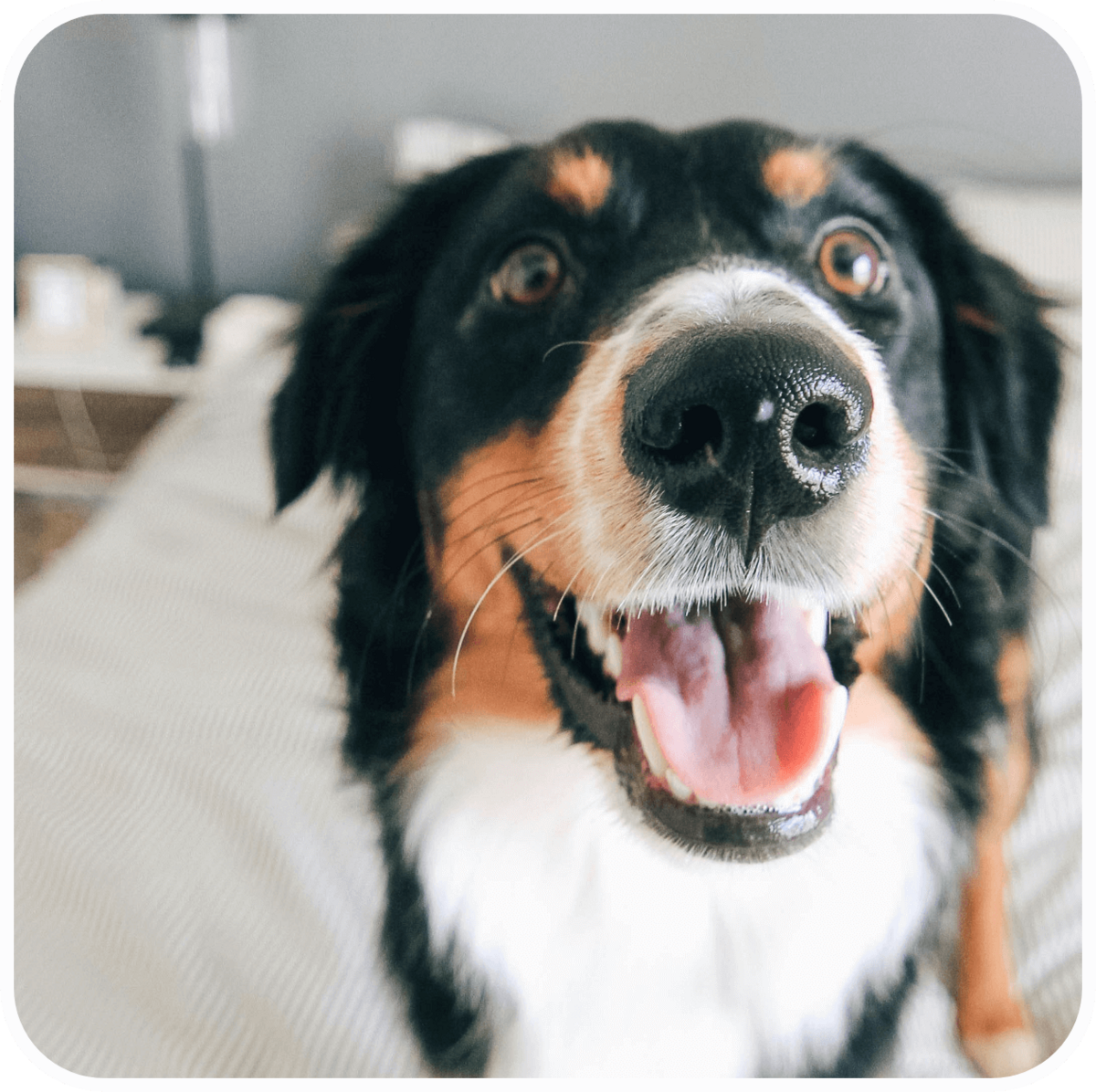 attaboys-and-attagirls-10