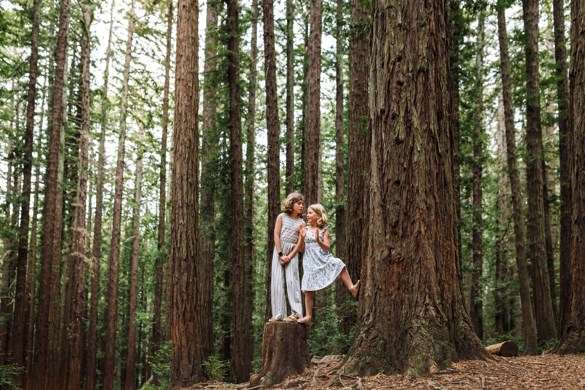 two sisters in light clothing standing next to each other on a tree stump in an Oakland Redwood park