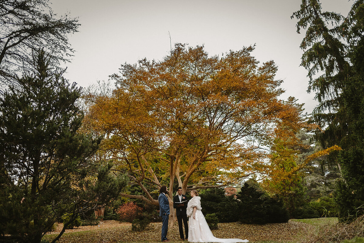 StevieJonDCArboretumWedding-105