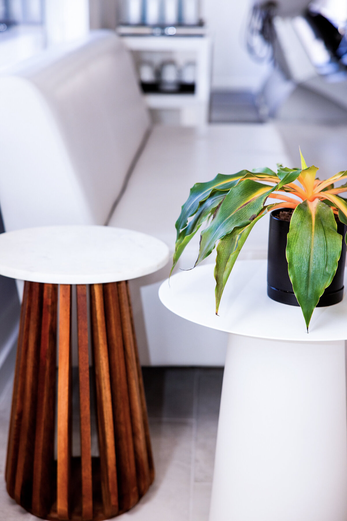 A modern, minimalist salon space with white couches, plants, stylish design, and a welcoming atmosphere.