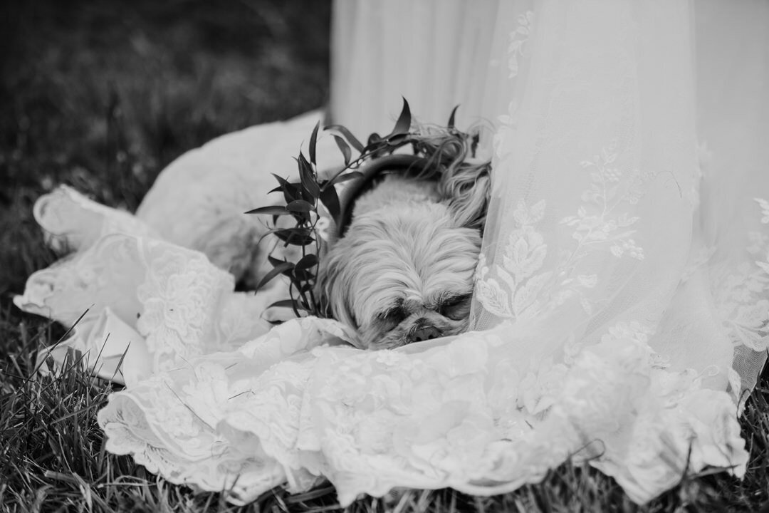 kathryn-mclaren-photography-257