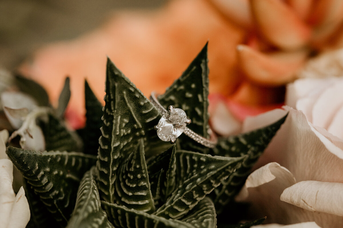 bride and grooms ring sitting on a succulent