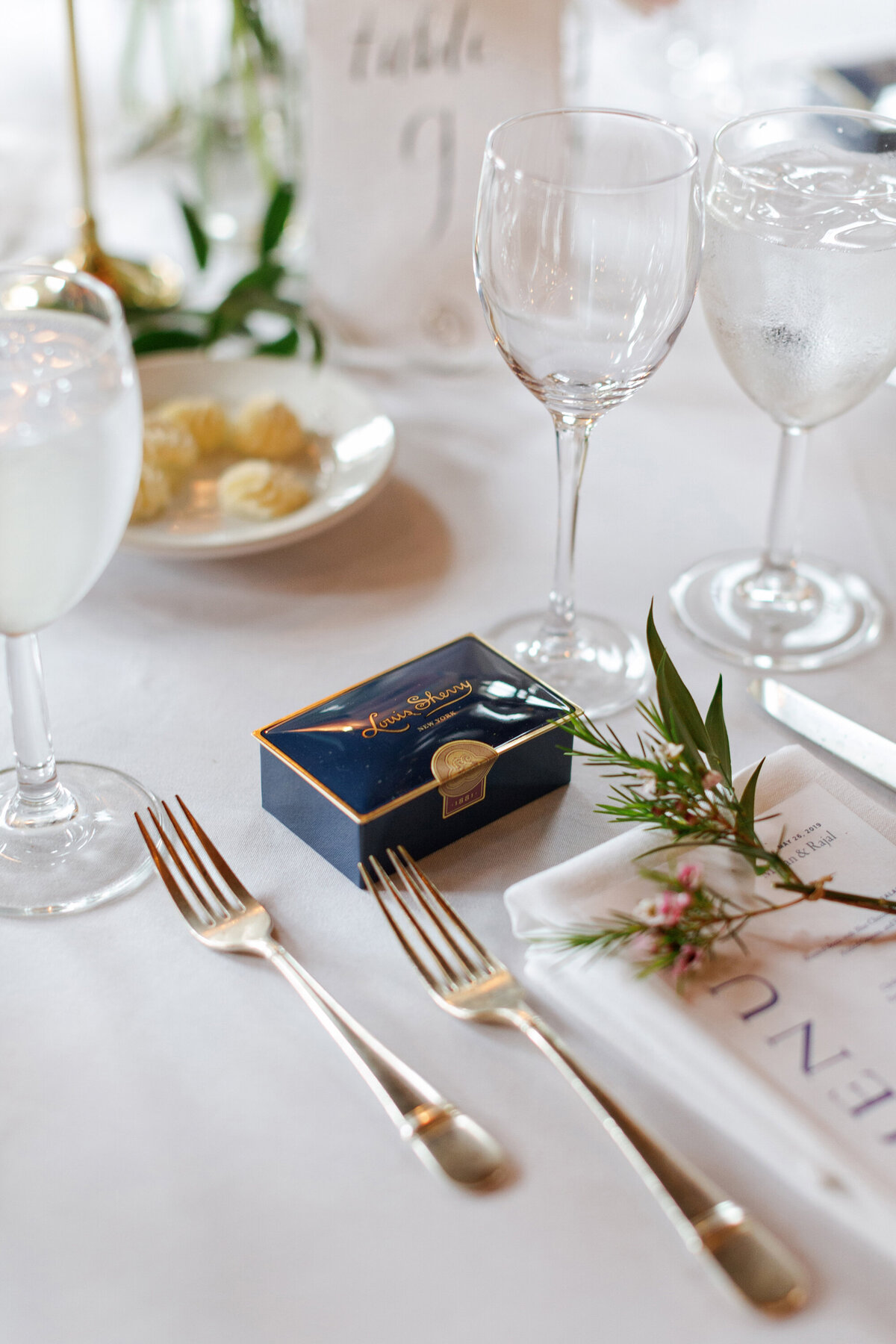 megan + rajal wedding 1063