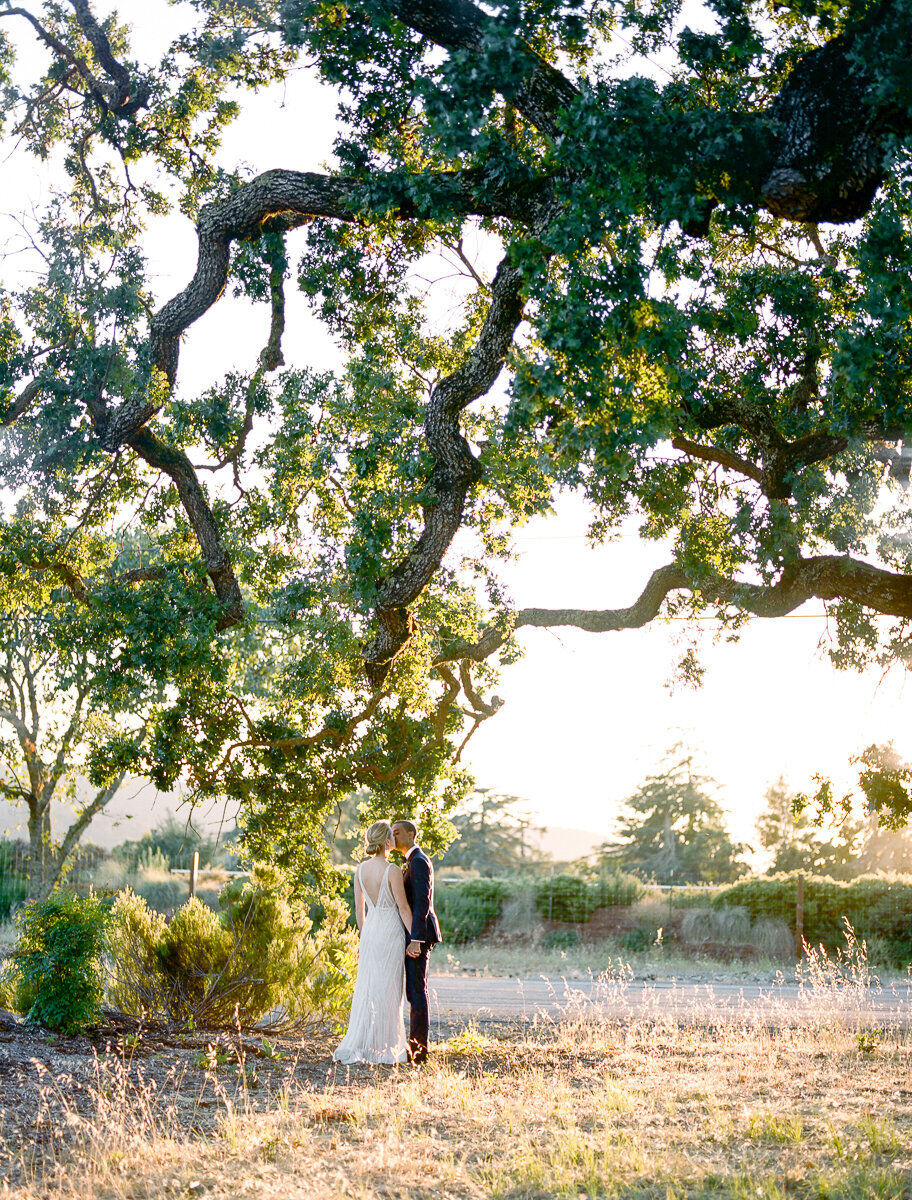 napa-wedding-photographers-dejaureguis-erin-courtney-st.francis.winery-0029