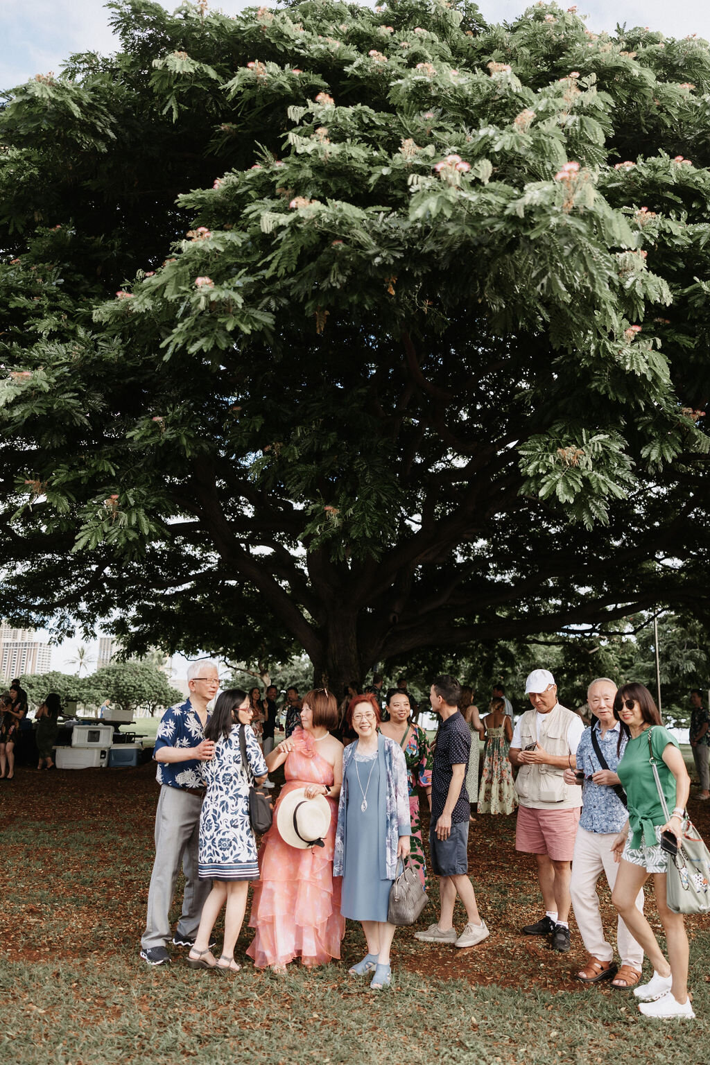 Wedding guests mingling under large tree at the park
