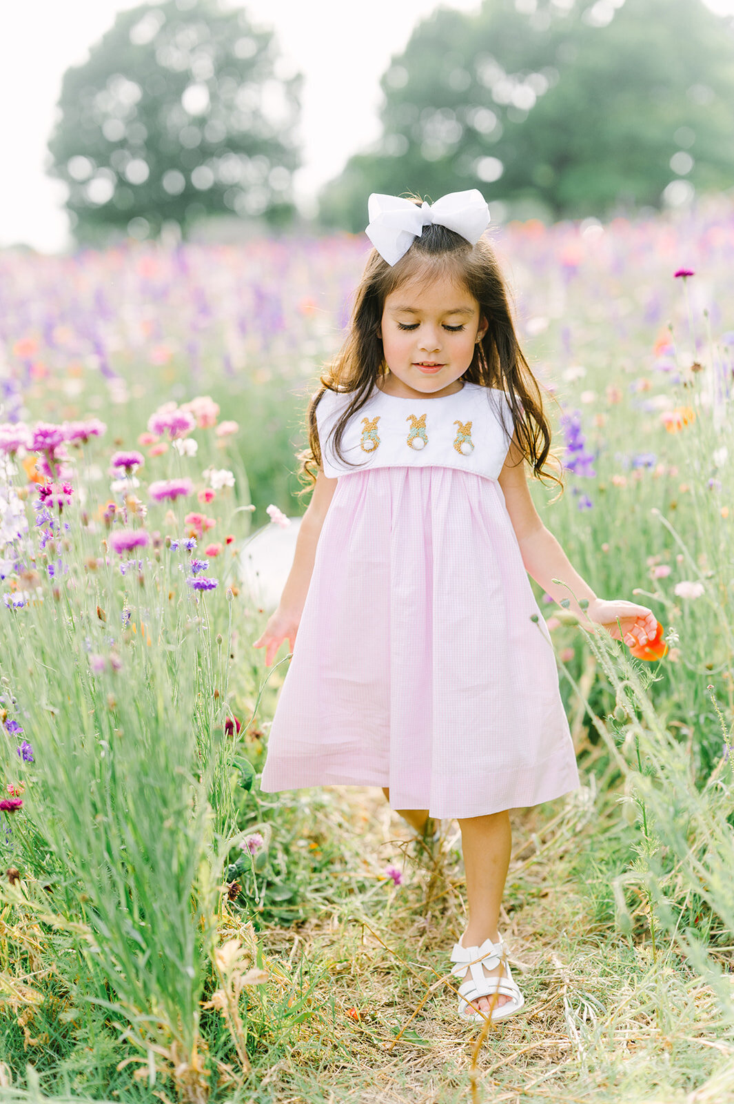 dallas-wildflower-photography-29