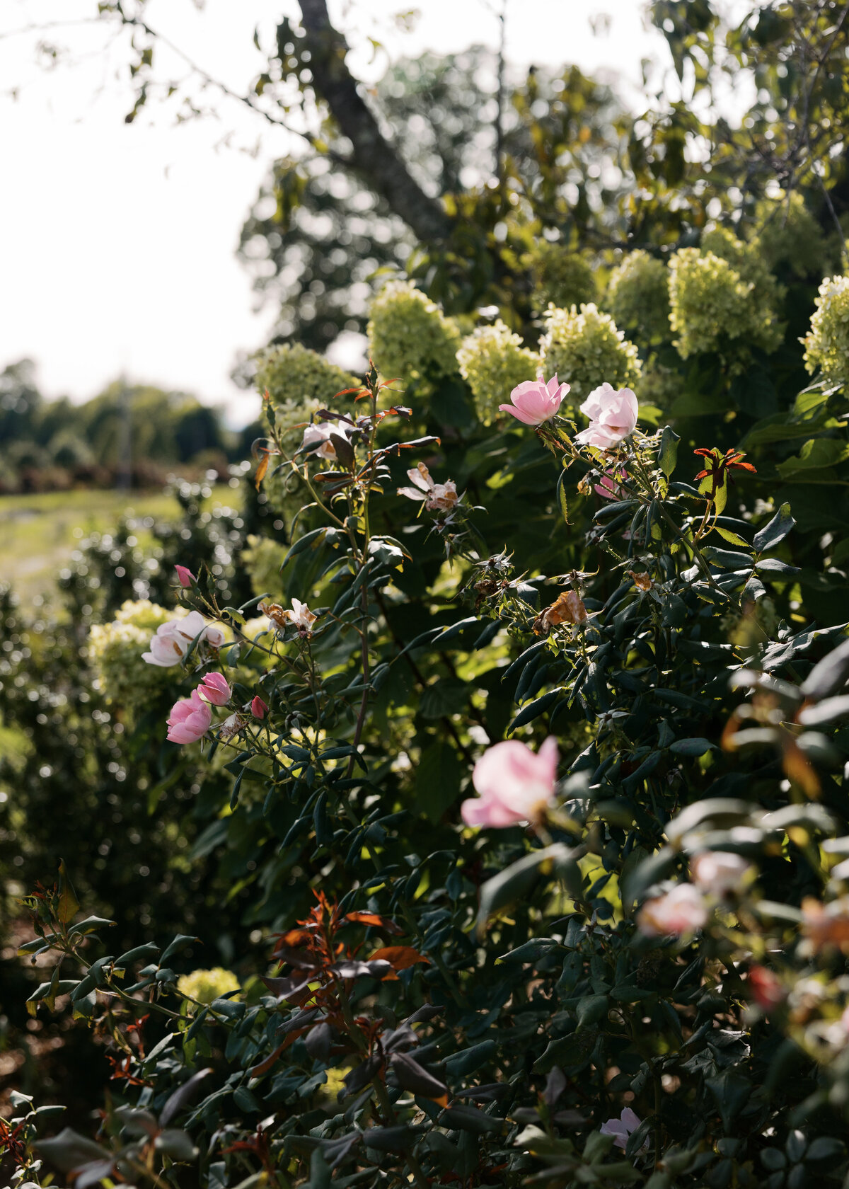 Maddy+Brett_SDP-1676