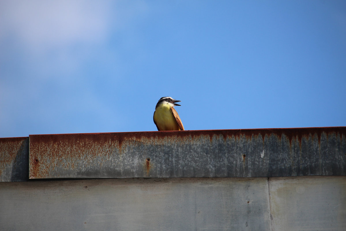 Wade_Muir_Photography_Places-49