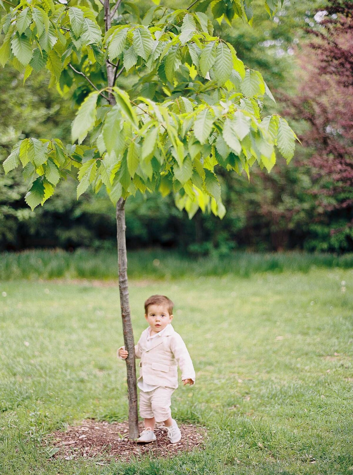 Ali-Reed-Photography-Alexandra-Elise-Photography-Film-Lifestyle-Family-Portrait-Photographer-Highland-Park-New-York-021