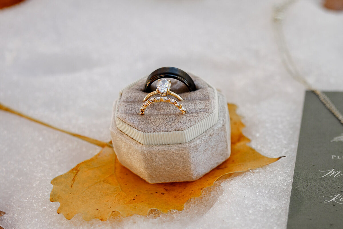Close-up of wedding rings on a fall yellow leaf, expertly shot by Michelle Betz Photography.