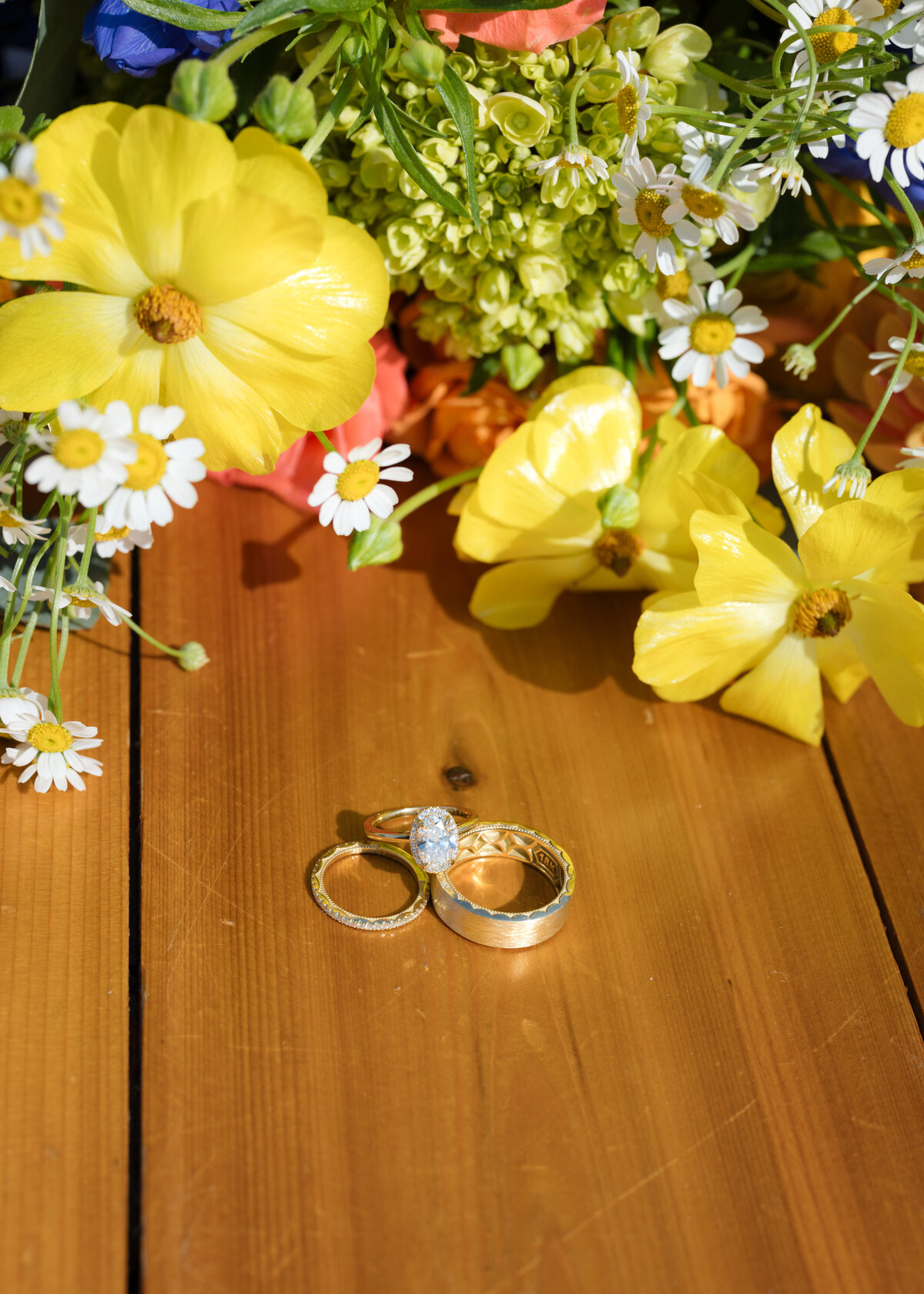 Backyard-Wedding-Rogers-MN-B&S-Will-DeGraw-Clever-Disarray-25