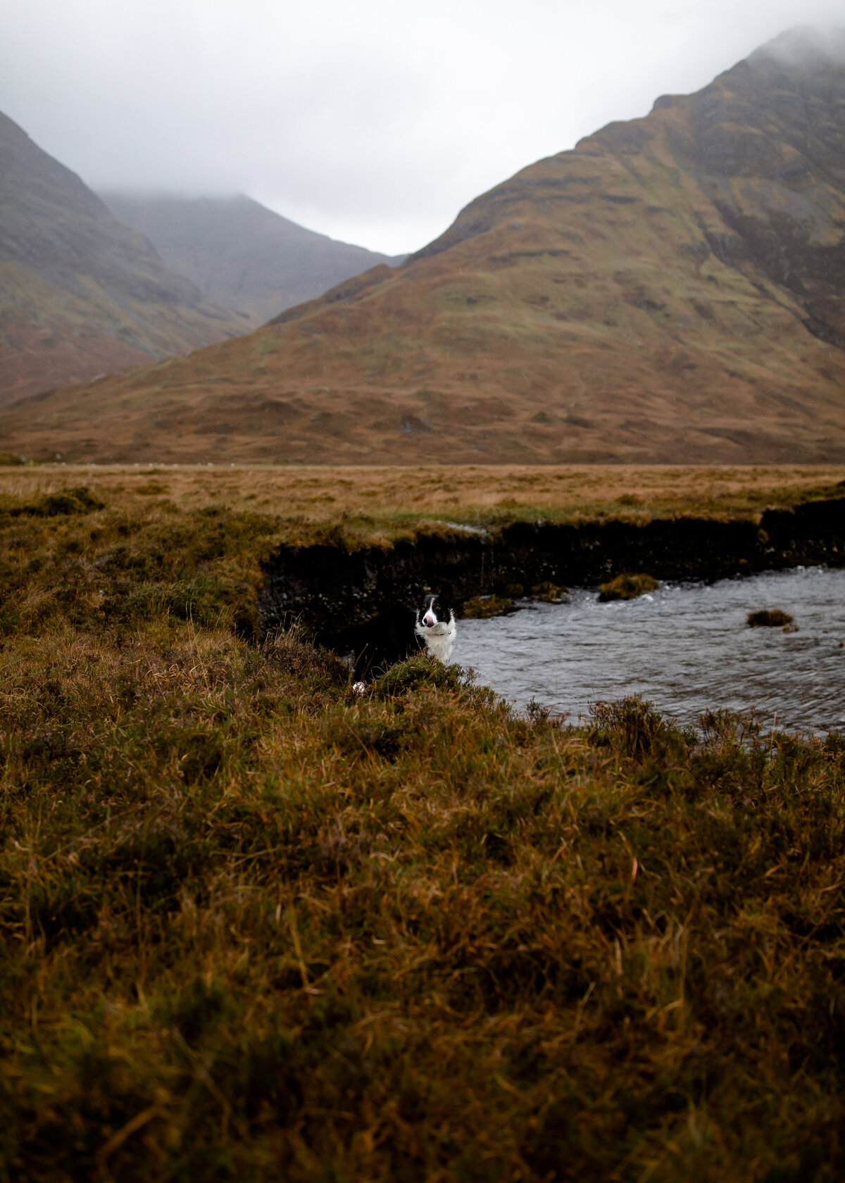 11072022_Caroline+Lee_ScotlandUK_AnjaJensenPhotography-119