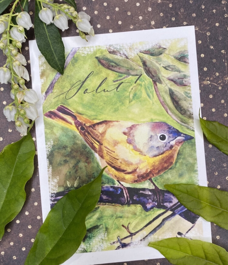 Colored illustration of bird in a card