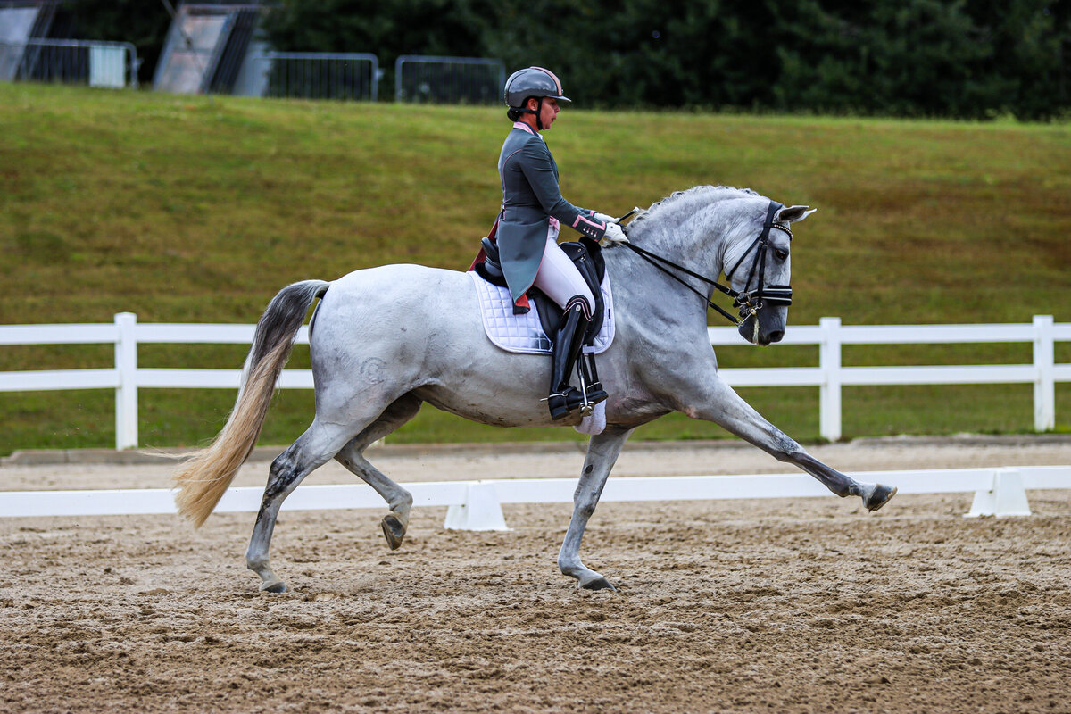 A grey horse doing an extended trot during a dressage test in Conyers, Georgia.