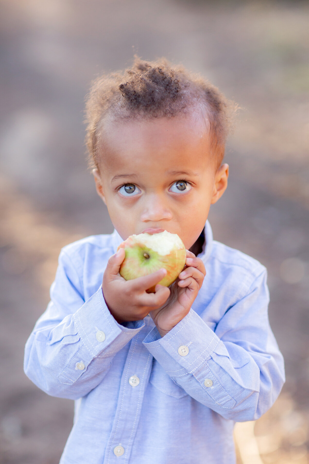 palos verdes-family-photographer_37