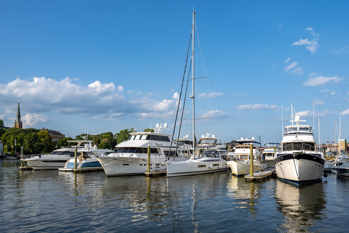 Annapolis luxury real estate 19