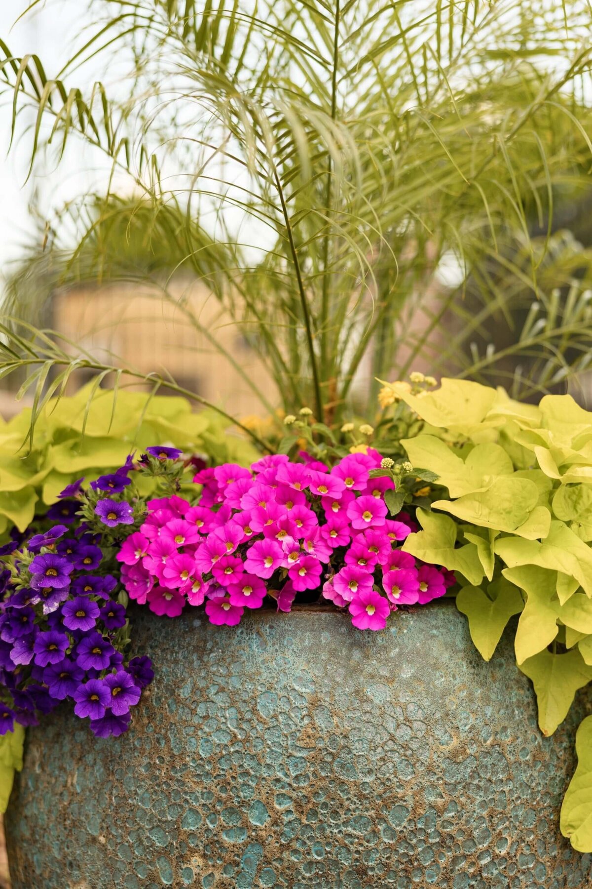 colorful-flower-pot-design-seasonal-plantings-little-rock
