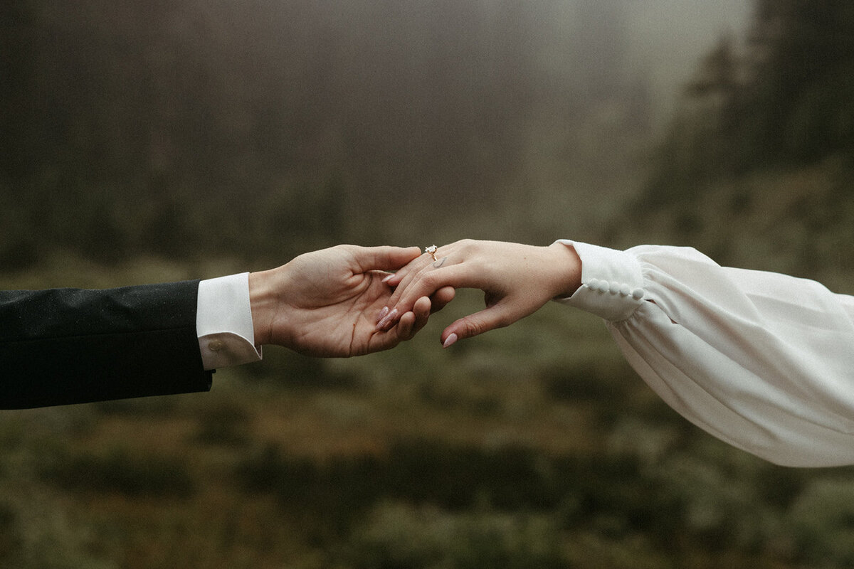 MtRainierSmallWedding-DallinHazard-97
