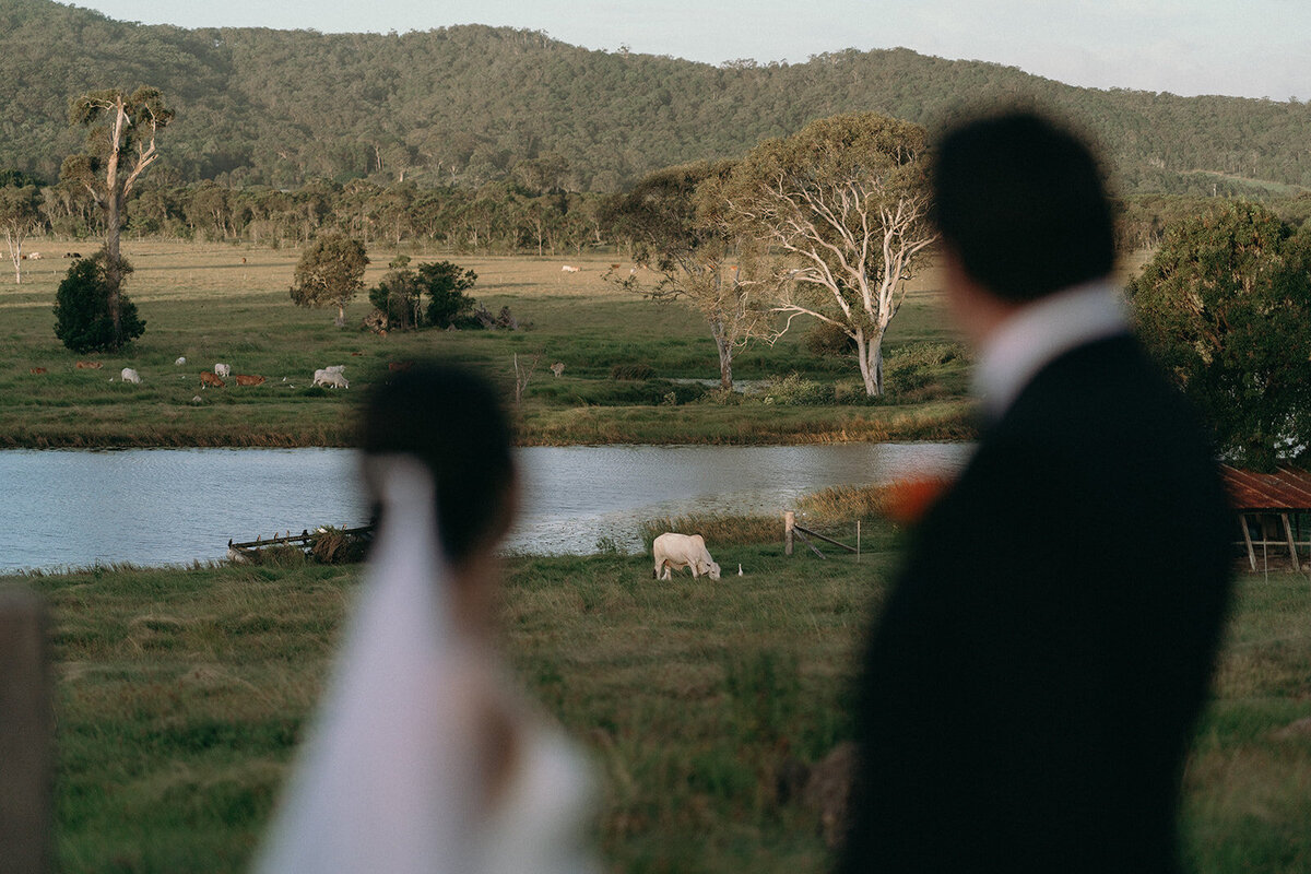 Angela + Matt - Yandina Station Wedding-444