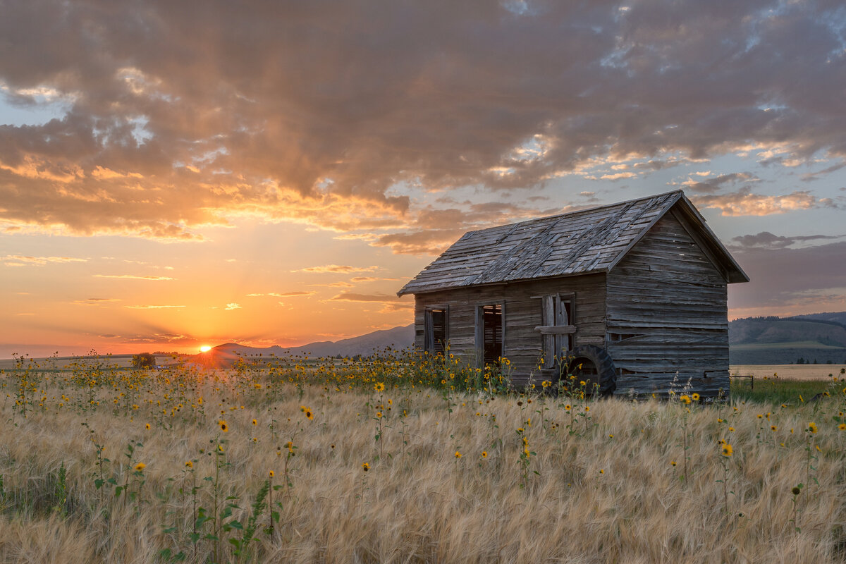 2020-08-06-75A8850-old-barn-antelope-flats