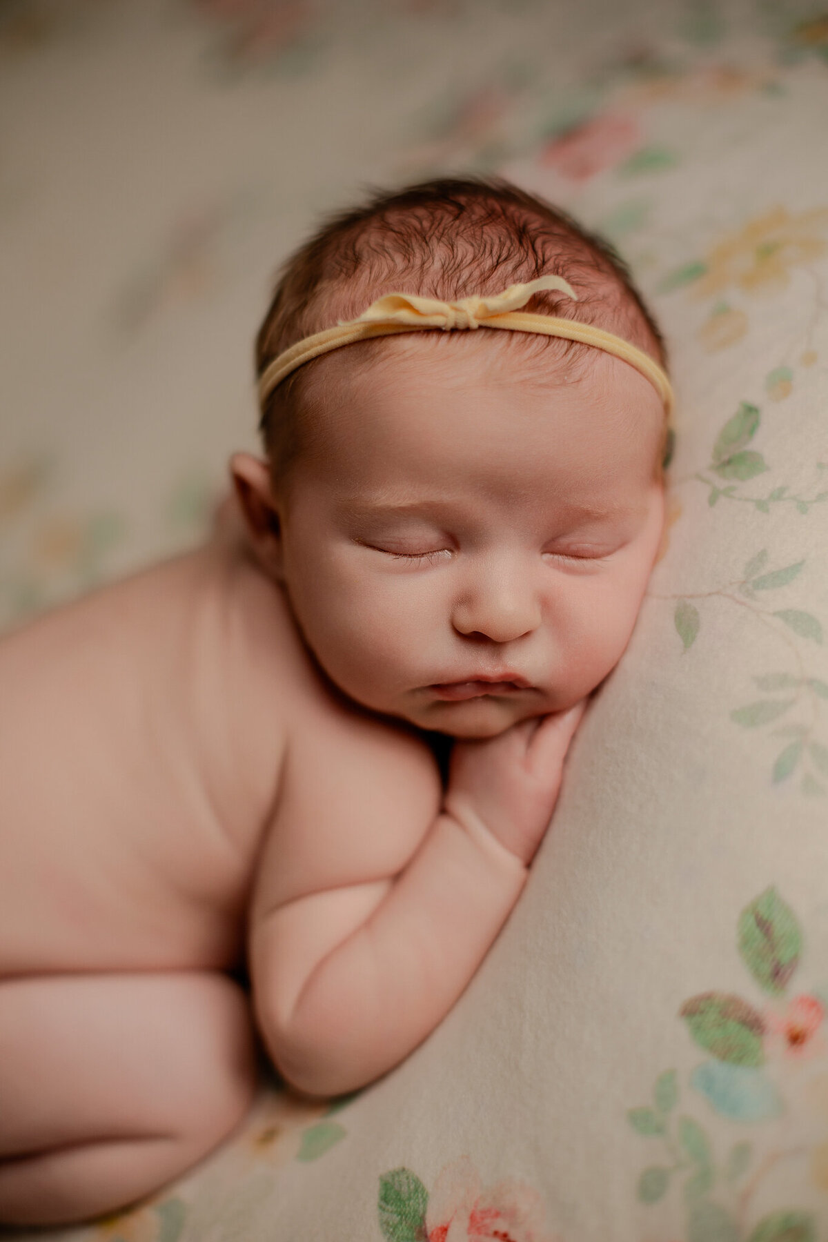 NWA newborn photographer, newborn portraits NW Arkansas