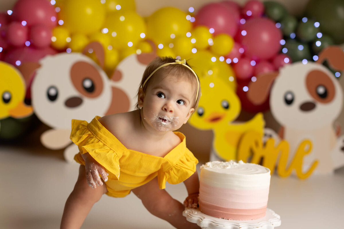 NW Arkansas cake smash photographer, cake smash photography near me, baby birthday photoshoot NW Arkansas