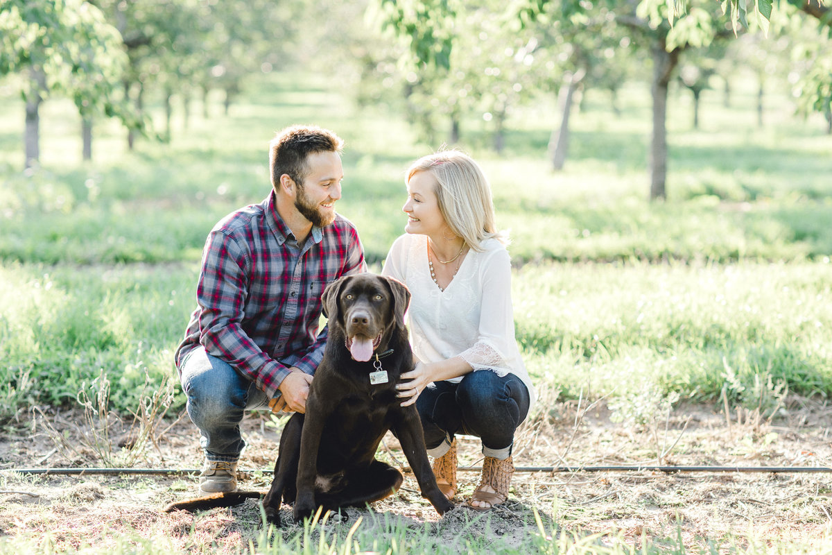 ngagement-with-dogs