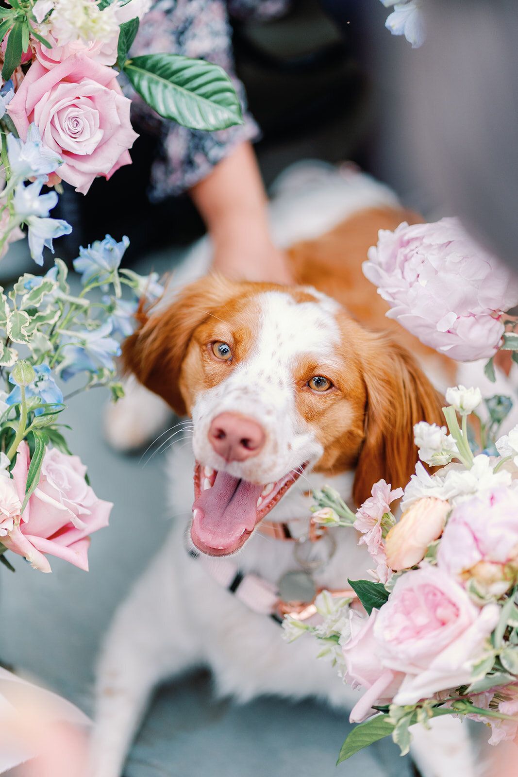 A+E_The Parlour at Manns Chapel_Chapel Hill NC_Luxury_Wedding_Photo_Highlights_Skyler Jordan Photography-162