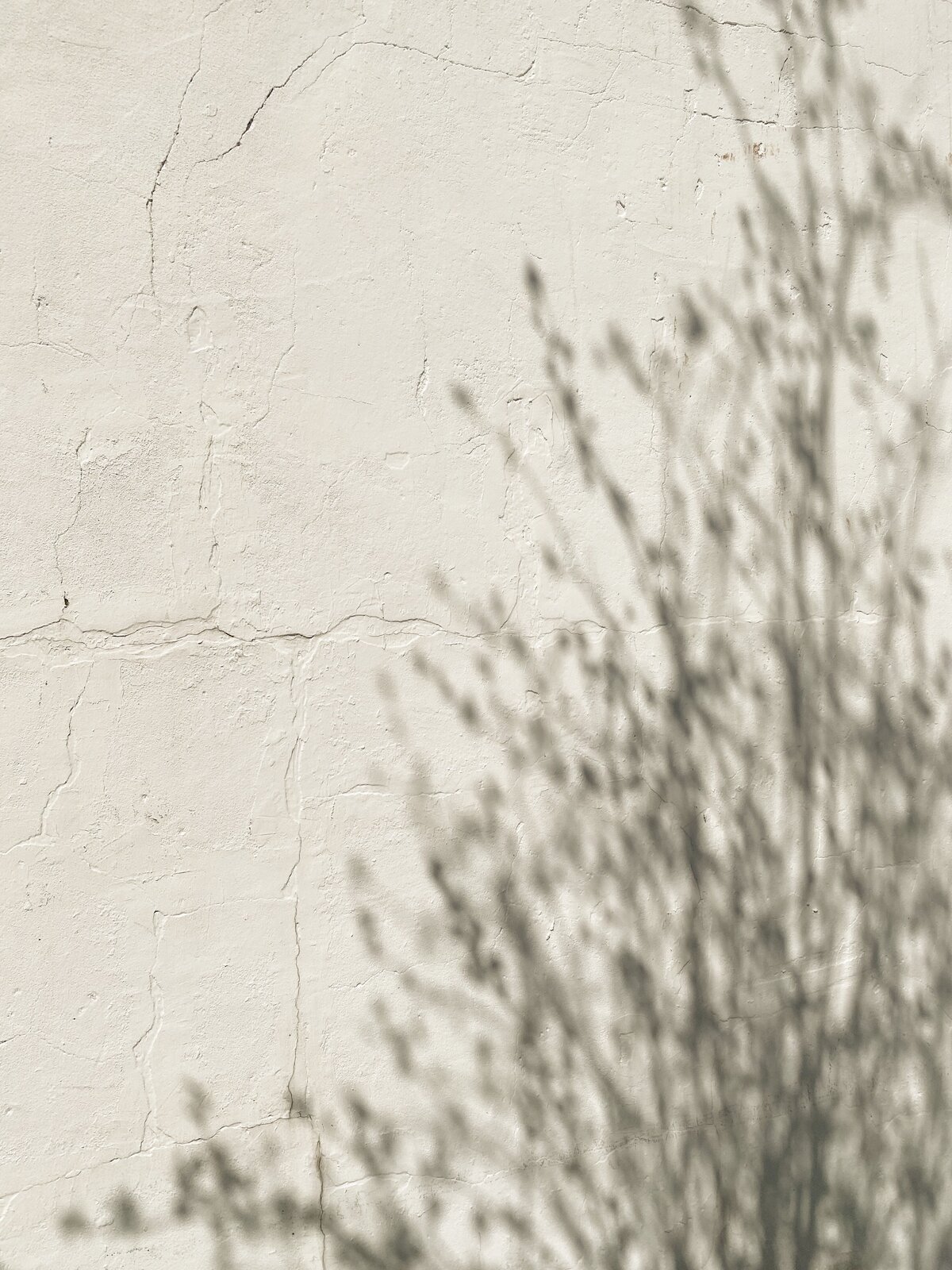 cora-pursley-dupe (26)