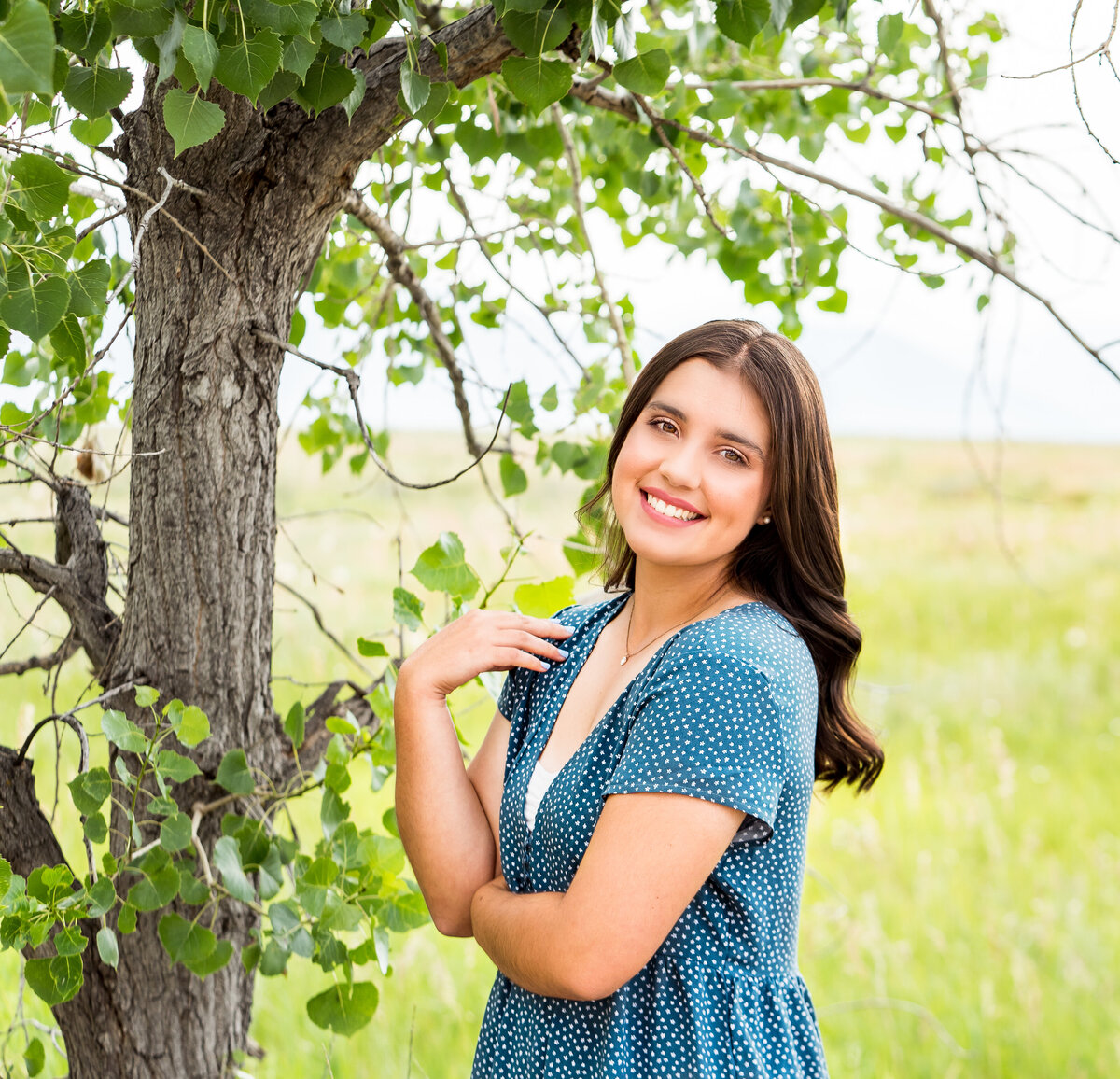 DSC08342-Edit-1